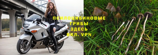 тгк Беломорск