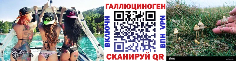 Псилоцибиновые грибы GOLDEN TEACHER  Купить  Саранск 
